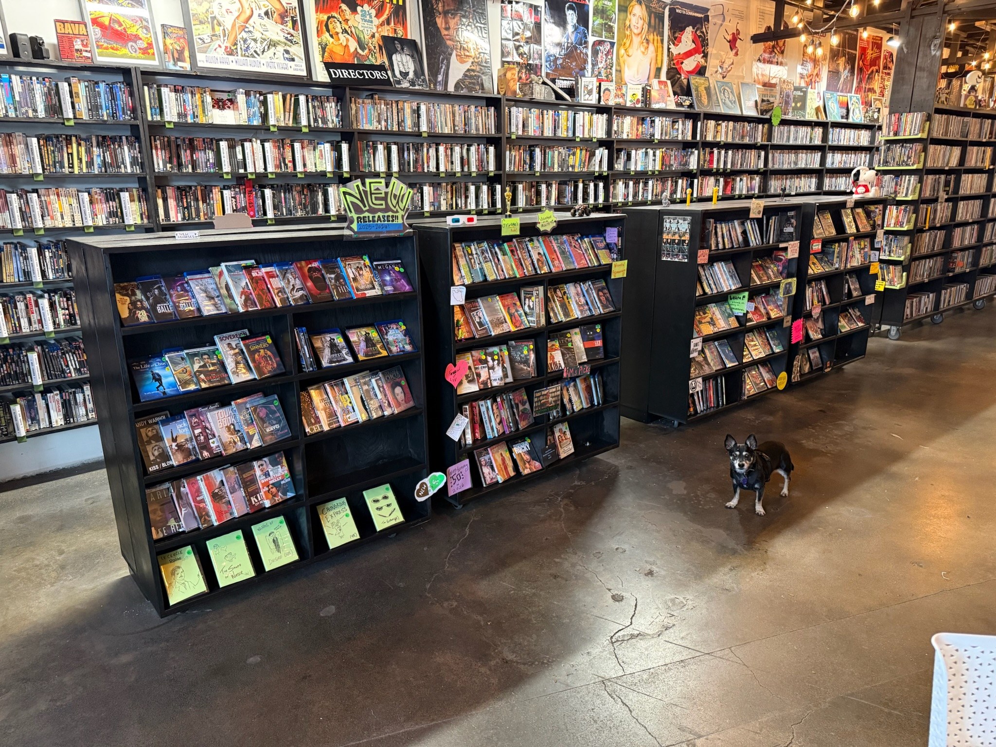 The custom front shelving closed with the media collection stocked